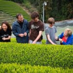 Uji and Wazuka Matcha Farm Half Day Private Guided Tour - Final Thoughts: Is It Worth It?