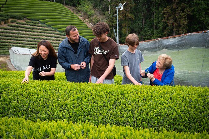 Uji and Wazuka Matcha Farm Half Day Private Guided Tour - Final Thoughts: Is It Worth It?
