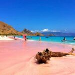 Ultimate Labuan Bajo Experience: 6 Amazing Destinations - What to Expect from the Tour