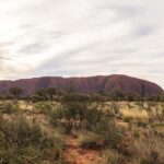 Uluru: Small Group Sunset Tour with Sparkling Wine - What Does the Tour Include?