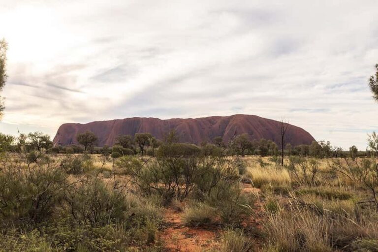 Uluru: Small Group Sunset Tour with Sparkling Wine - What Does the Tour Include?