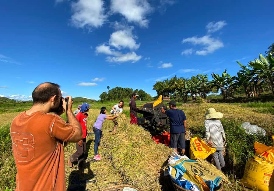Uncrowded Bohol: Tarsiers, Chocolate Hills & Local Lunch - Why This Tour Works for Travelers