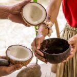 Underwater Observatory & Coconut Experience - FAQ