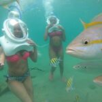 Underwater Sea Trek in San Juan: Explore Beneath the Waves - The Marine Life and Scenery