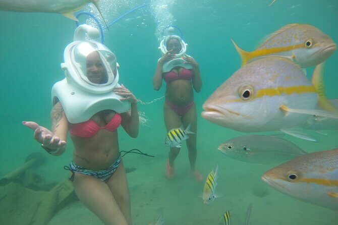 Underwater Sea Trek in San Juan: Explore Beneath the Waves - The Marine Life and Scenery