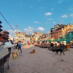 UNESCO Heritage Tour of Kathmandu Valley - Who Will Love This Tour?