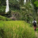 UNESCO Sites Cultural Walking Tour in Bali - Why This Tour Offers Excellent Value