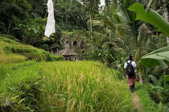 UNESCO Sites Cultural Walking Tour in Bali - Why This Tour Offers Excellent Value
