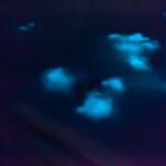 Unforgettable One Day Bioluminescent Kayak Adventure in Vieques - Practical Tips for Your Bioluminescent Kayak Tour
