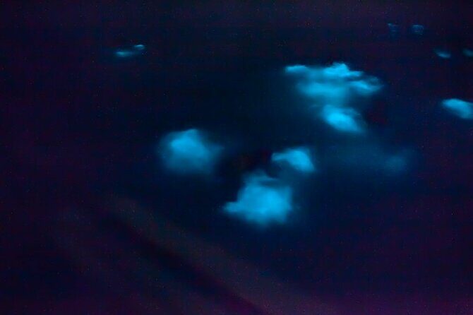 Unforgettable One Day Bioluminescent Kayak Adventure in Vieques - Practical Tips for Your Bioluminescent Kayak Tour