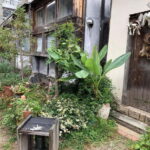 Urban Canvas: Osaka Street Art Bike Tour - Why It’s Good Value