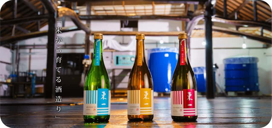 Ureshino: Gochoda Sake Brewery Tour with Tasting - Who Should Consider This Tour?