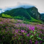 Valley of Flowers and Hemkund Trek- Banbanjara - What Travelers Are Saying and What You Can Expect