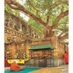 Varanasi to Bodhgaya : A day trip of Enlightment exploration - The Journey Begins: From Varanasi to Bodhgaya