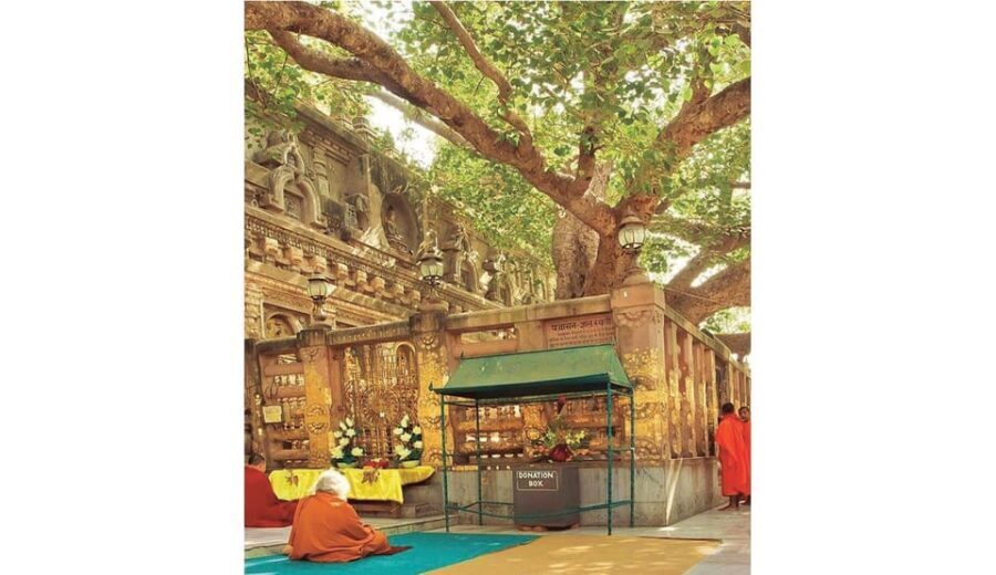 Varanasi to Bodhgaya : A day trip of Enlightment exploration - The Journey Begins: From Varanasi to Bodhgaya