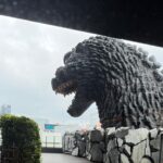 Variety of Tokyo or Yokohama Tours Customizable and Memorable - FAQs