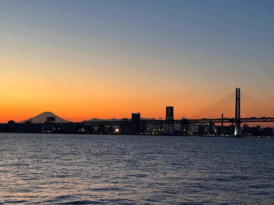 Vibrant Yokohama: Private Day of Culture, Seaside & Skylines - Why This Tour Works for You