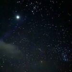 Vieques island Biobay Kayaking Tour - Guides & Customer Service