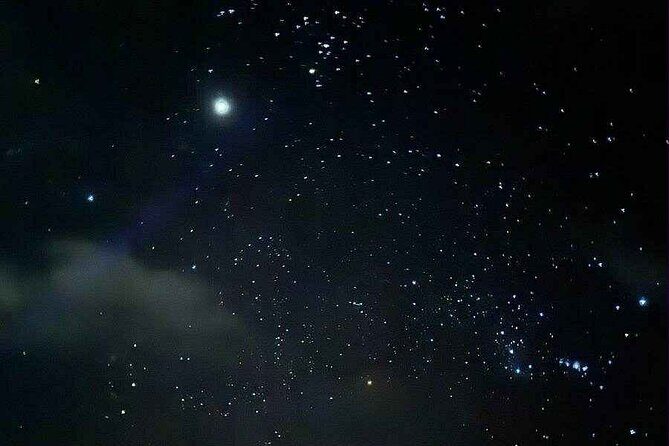 Vieques island Biobay Kayaking Tour - Guides & Customer Service