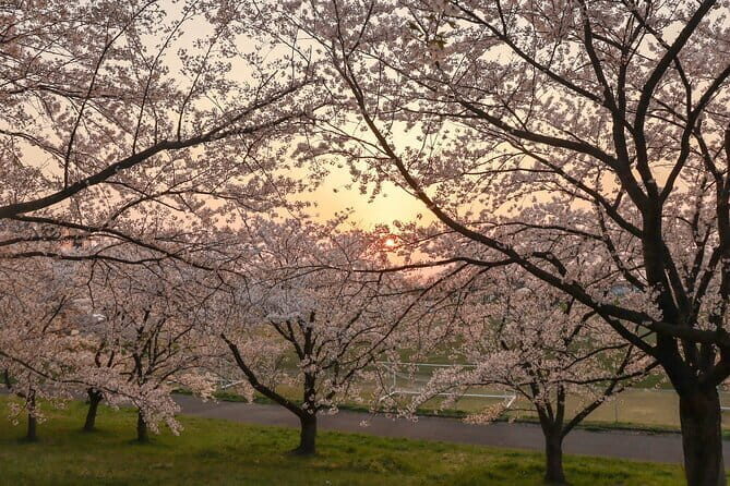 VIP Exclusive Hidden Niigata Tour with Artisans and Farmers - What Makes This Tour Special?