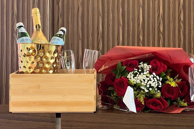 VIP Executive Airport Transfer Luxury Ride in Punta Cana - Airport Arrival: What to Expect