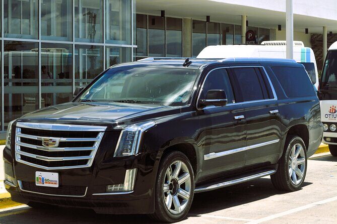 VIP Private Transfers Punta Cana Airport to Hotel - Additional Insights Based on User Feedback