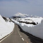 Volcanic Wonders & Scenic Trails - Practical Aspects of the Tour