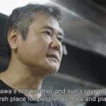 Wagyu steak & Traditional cooking at Ufuyaa - Exploring the Okinawa Wagyu & Onigiri Experience