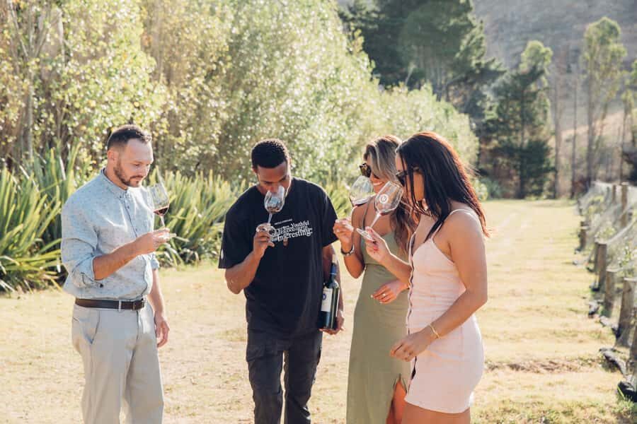 Waiheke Island: Scenic Island Wine Tour & Local Wine Tasting - Who Will Appreciate This Tour?