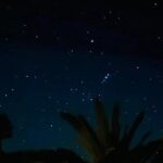 Waiheke Private Stargazing Tour Night Walk - The Transport & Logistics