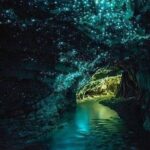 Waitomo Glow Worm Caves Tour from Auckland - Why This Tour Is Worth Considering