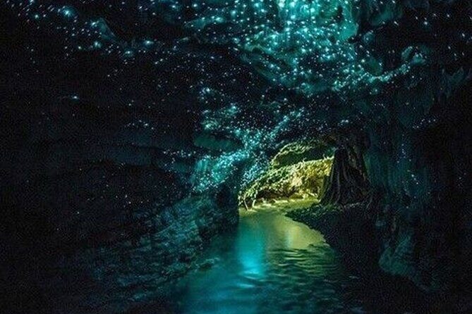 Waitomo Glow Worm Caves Tour from Auckland - Why This Tour Is Worth Considering
