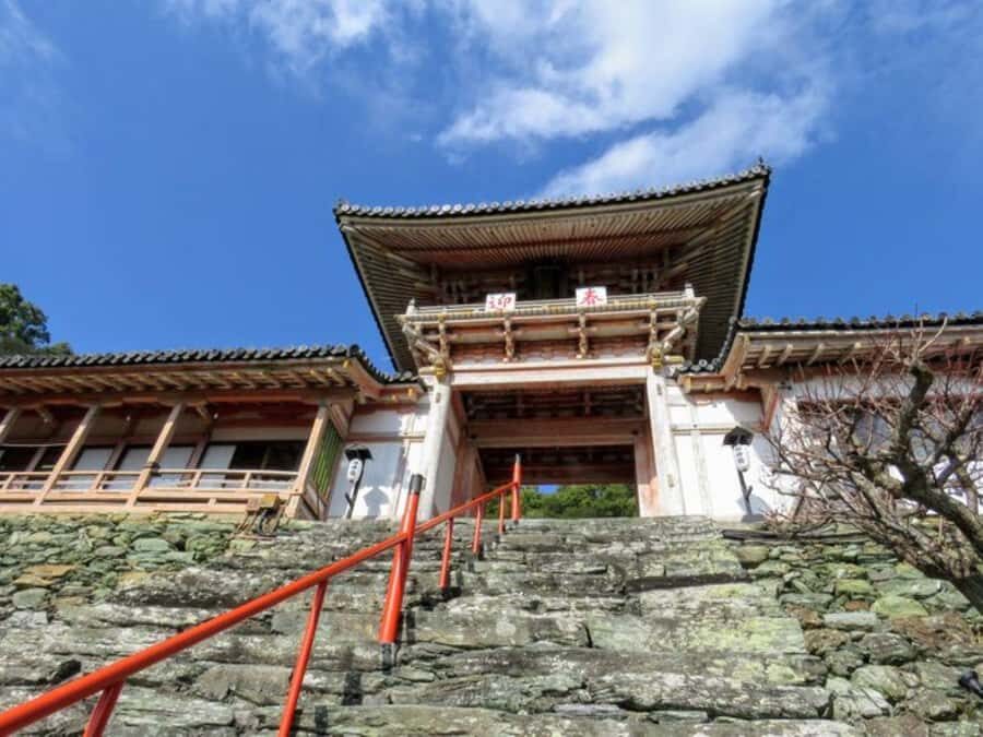 Wakayama: Around Wakaura Area Walking Tour with Local Guide - Discovering Wakayama’s Coastal Charm and Sacred Sites