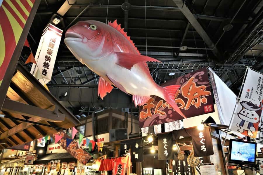 Wakayama: Day Trip to Shirahama Beach & Kuroshio Market - Exploring Wakayama’s Natural and Culinary Treasures