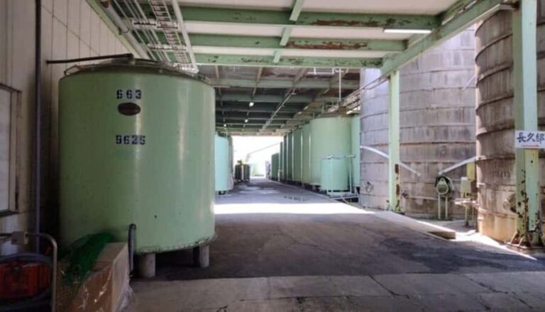 Wakayama: Kainan Plum Liqueur Factory and Historical Spots - Practical Details and Considerations