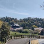 Wakayama: Negoro Historical Walking Tour with Temples Visit - Practical Details That Matter