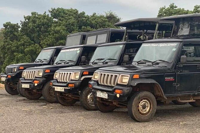 Walawe Palm Safari Udawalawe - Who Would Love This Safari?