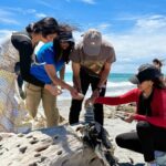 Wanaka to Franz Josef Small Group 1 Way Tour with Lunch - What This Tour Means for You