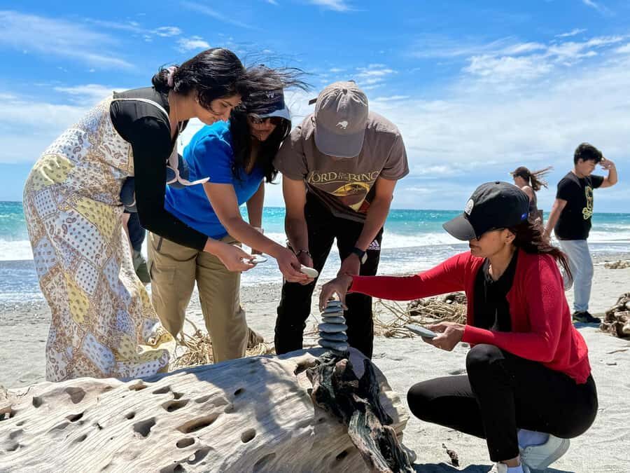 Wanaka to Franz Josef Small Group 1 Way Tour with Lunch - What This Tour Means for You