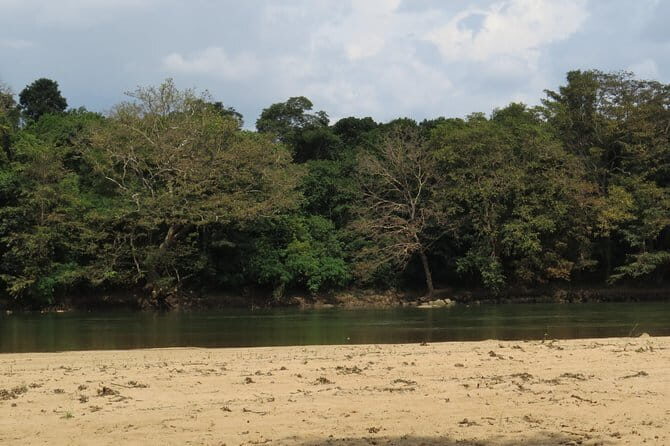 Wasgamuwa National Park Safari from Kandy - Exploring the Itinerary: What to Expect