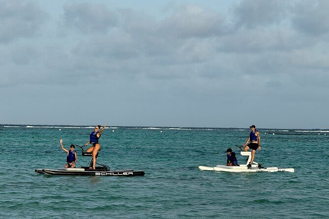 Water Bicycle Tour - Transportation & Logistics