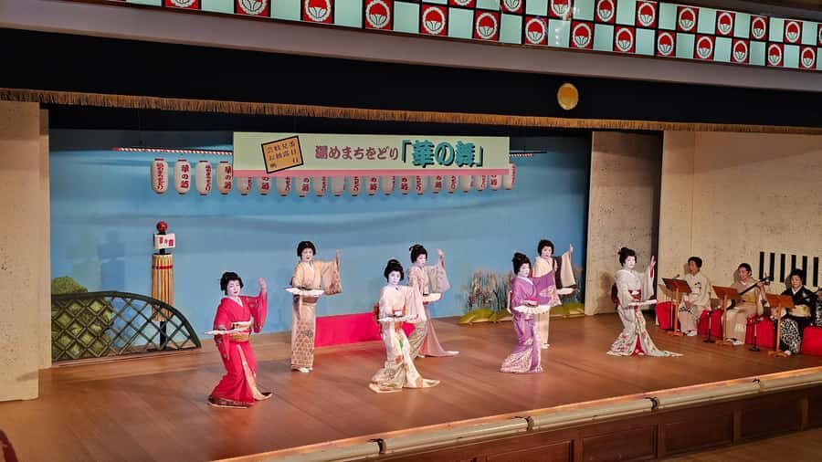 Weekend Geisha Dance Performance Hana-no-Mai in Atami - Who Should Consider This Tour?