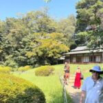 Welcome to Tokyo: A Gentle First Journey by Private Car - In-Depth Look at the Itinerary