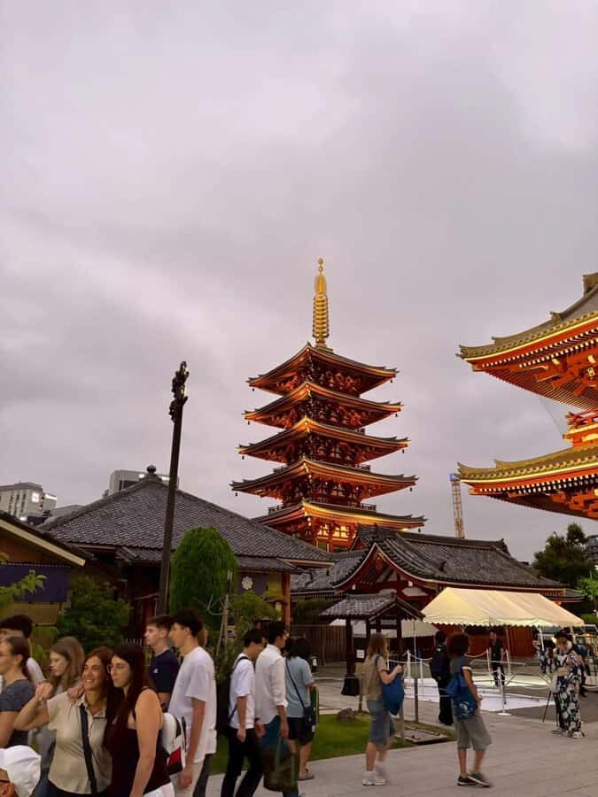 Welcome to Tokyo: A Gentle First Journey by Private Car - What Makes This Tour Stand Out? Practical Benefits