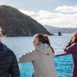 Wellington 90 minute Harbour Cruise - Why This Tour Delivers Great Value