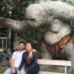 Wellington city heights private sightseeing tour - The Scenic Vantages: Hills and Views