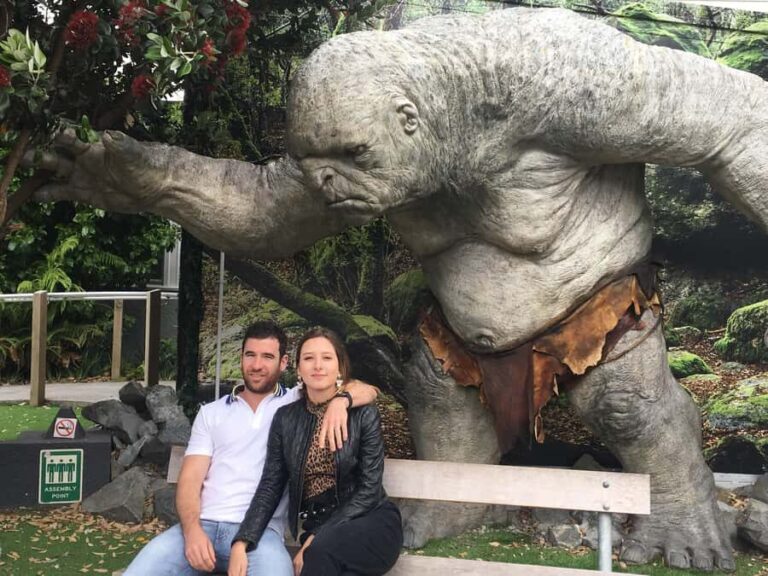 Wellington city heights private sightseeing tour - The Scenic Vantages: Hills and Views