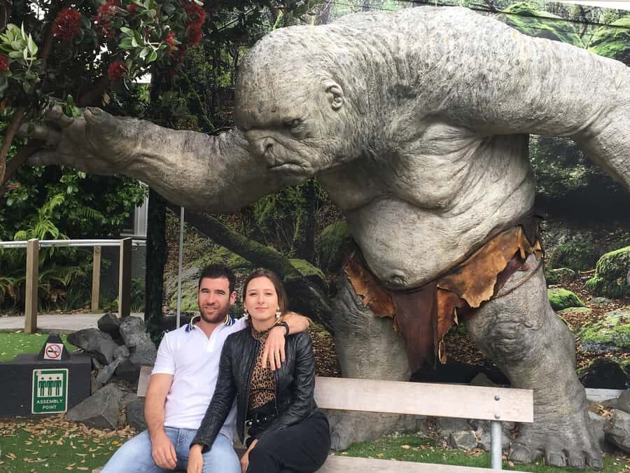 Wellington city heights private sightseeing tour - The Scenic Vantages: Hills and Views