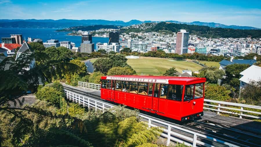 Wellington: Highlights Tour with a Local Guide - Discovering Wellington in 3.5 Hours