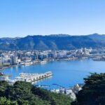 Wellington Movie Magic Private Tour - Analyzing the Price – Is It Worth It?